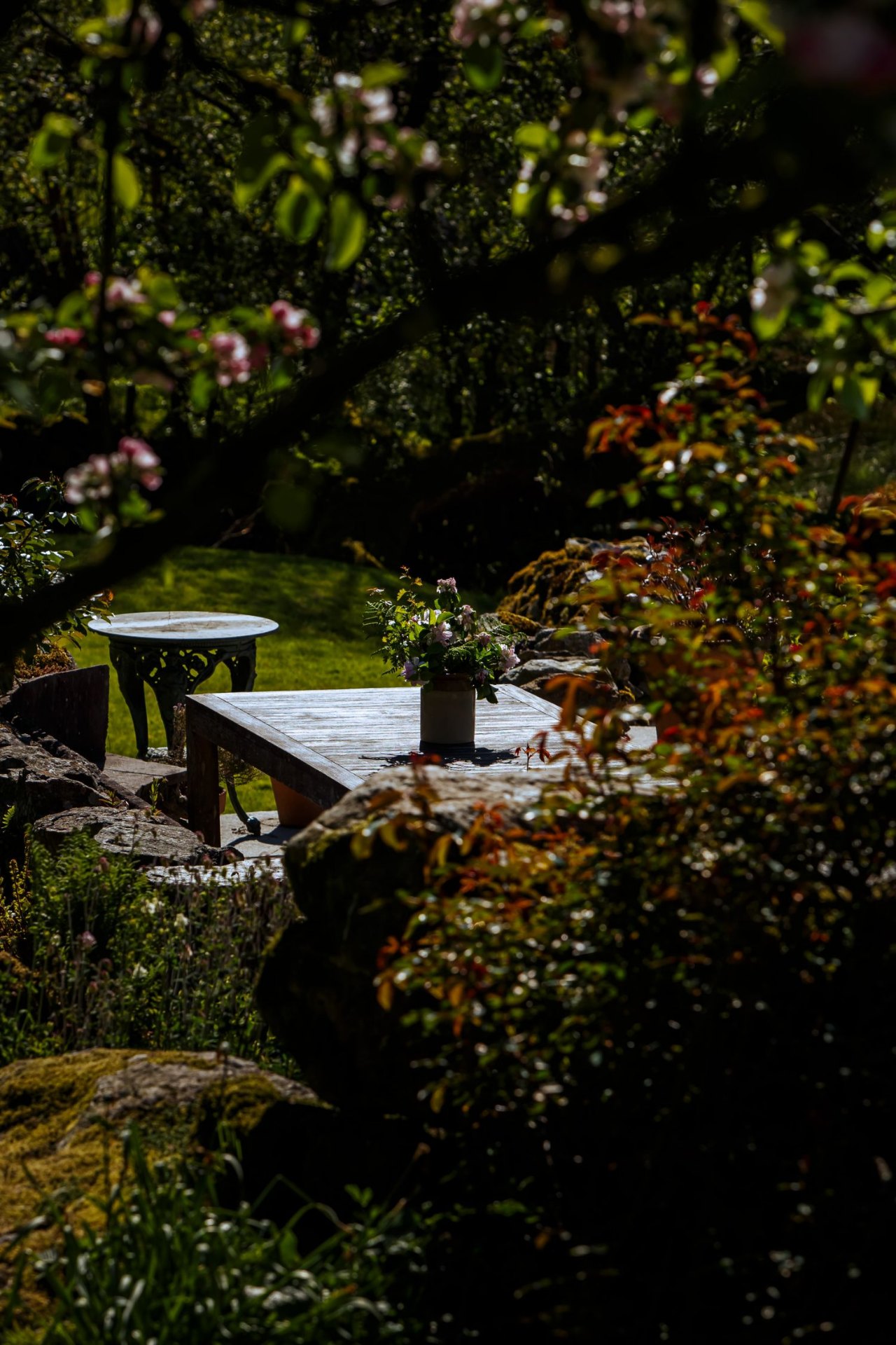 A wooden garden table surrounded by roses and blossom